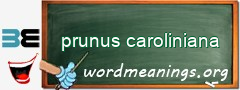 WordMeaning blackboard for prunus caroliniana